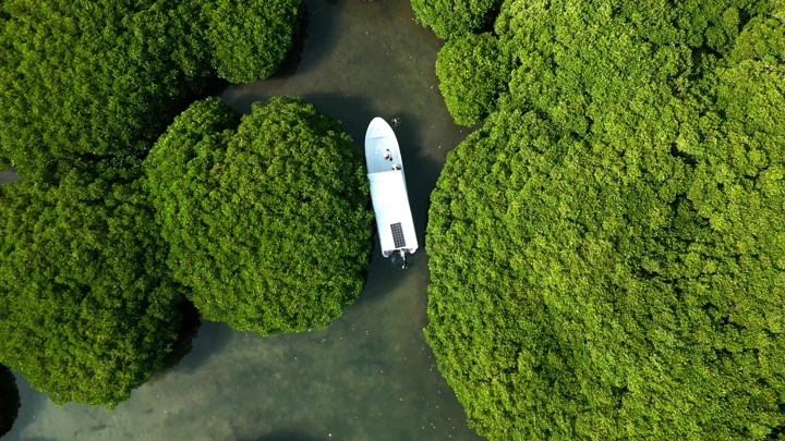 قارب بين أشجار المانغروف في جزيرة فرسان بمدينة جازان، تصوير درون.