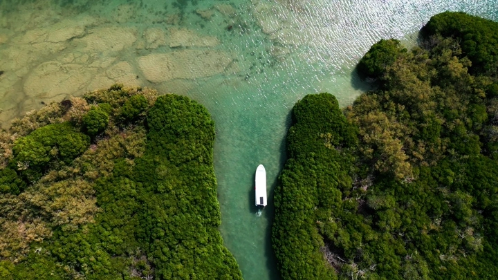 قارب بين أشجار المانغروف في جزيرة فرسان بمدينة جازان، تصوير درون.