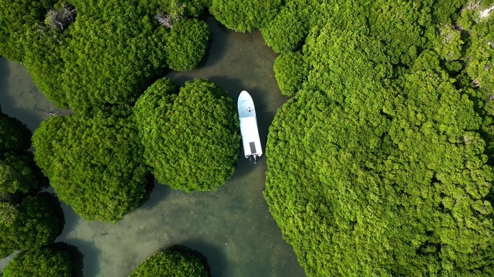 قارب بين أشجار المانغروف في جزيرة فرسان بمدينة جازان، تصوير درون.