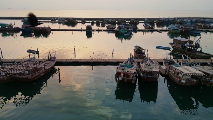 قوارب خشبية راسية مع حمام يحلق في السماء في ميناء جازان عند الغروب، تصوير درون.