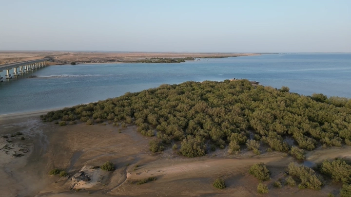 جزيرة فرسان مغطاة بالأشجار في جازان، تصوير درون.