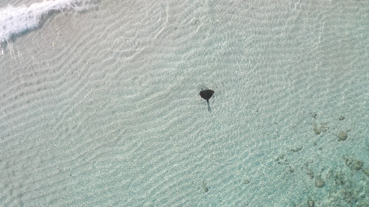 لقطة جوية لحركة المياه عند الشاطئ في منطقة عسير.