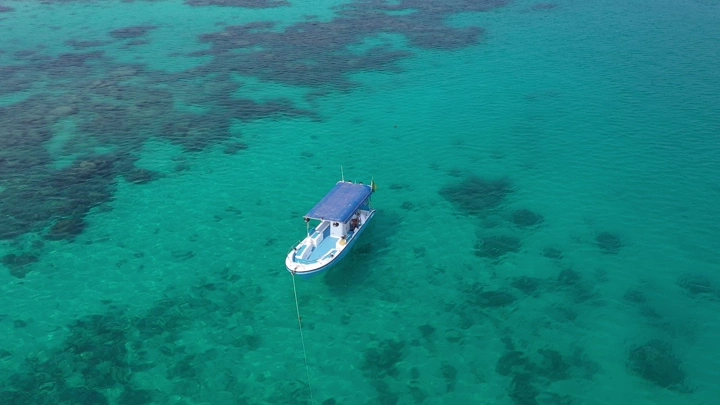 A boat moving in the clear waters of the Red Sea in Asir, aerial shot.