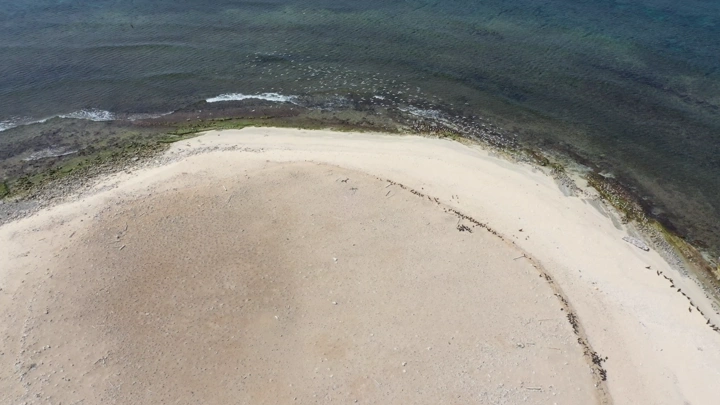 شاطئ رملي ومياه زرقاء صافية والطيور تحلق من فوقها في منطقة عسير، لقطة جوية.