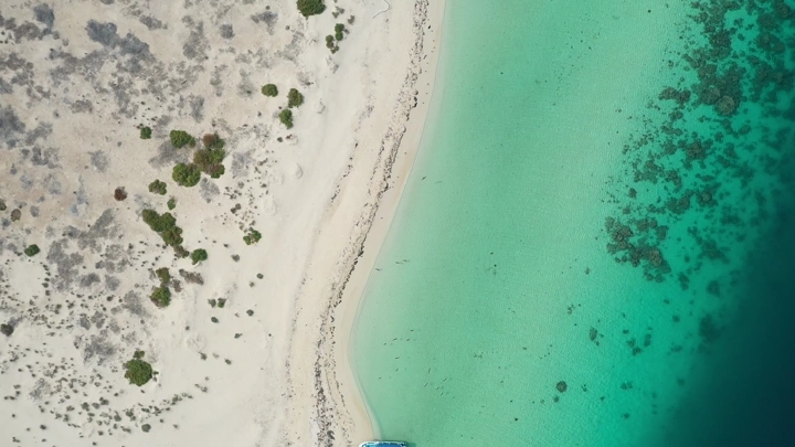 شاطئ رملي ومياه زرقاء في جزيرة بمنطقة عسير، لقطة جوية.