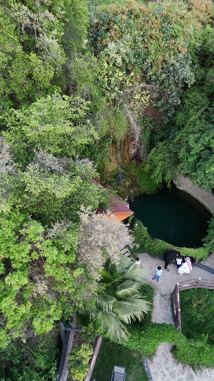 Aerial shot of a water pond surrounded by trees in the Al-Baha area, drone photography.