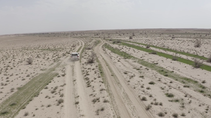 Car driving in a spring desert in northern Saudi Arabia, aerial shot.