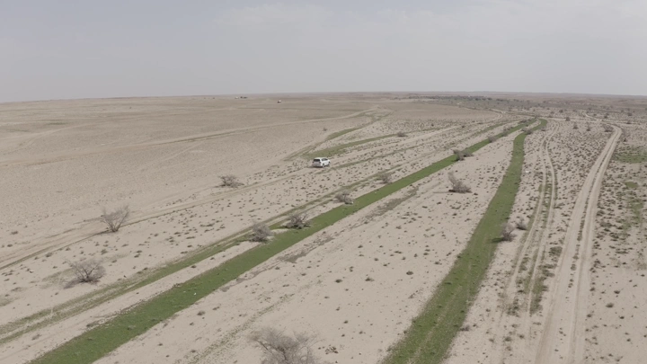 White car in a green desert landscape in northern Saudi Arabia, aerial shot.