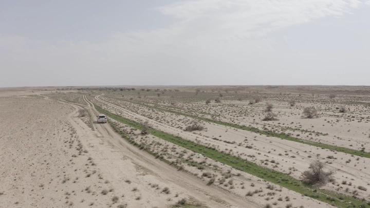 Car driving through green desert in northern region, aerial shot.