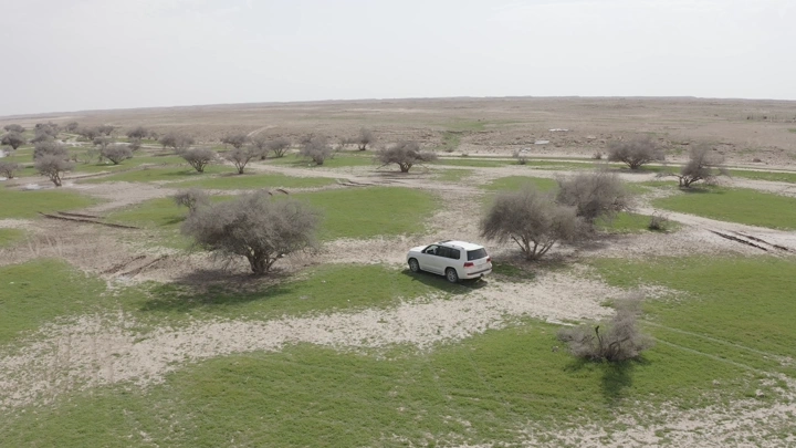 Car in northern Saudi spring landscape, aerial shot.