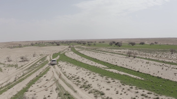 Car driving through green desert in northern region, aerial shot.