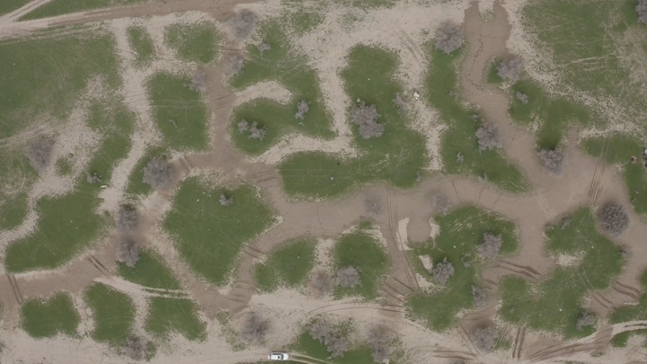 منظر علوي لأرض خضراء في ربيع شمال المملكة، لقطة جوية.