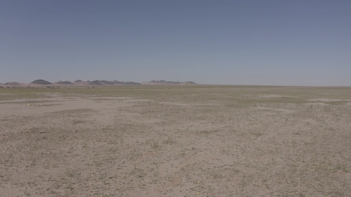 Desert land with mountains on the horizon, wide daytime shot.