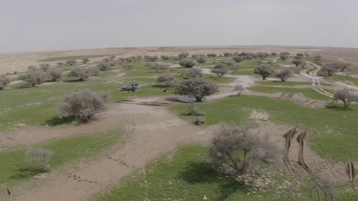 Aerial view of a picnic in the spring of northern Saudi Arabia, drone shot.