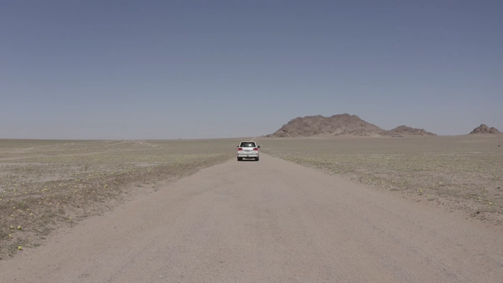 Car on a desert road in northern Saudi Arabia, rear shot.