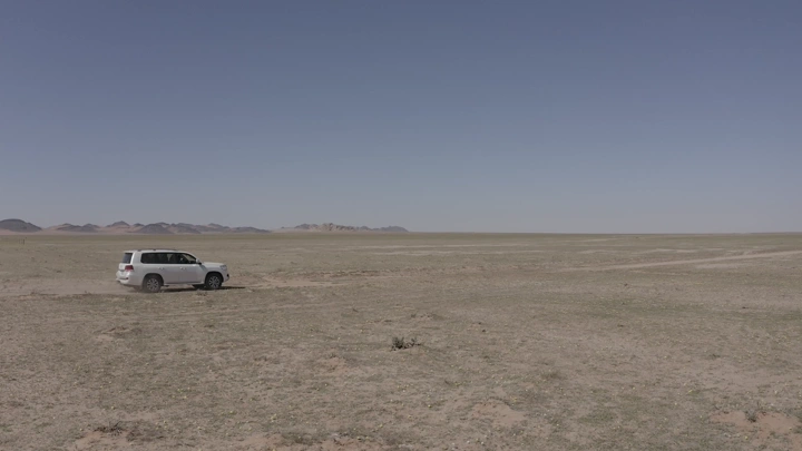 Car in northern Saudi desert during spring, wide shot.