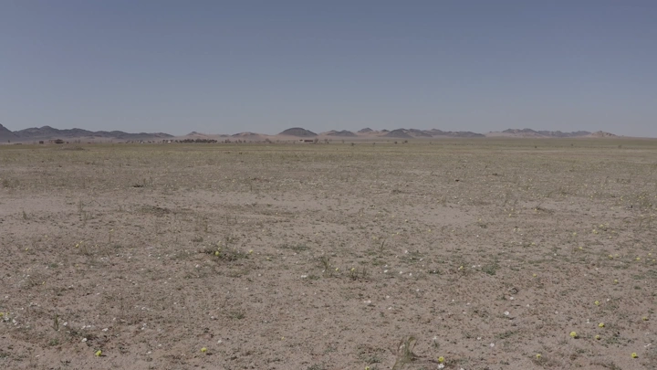 Vast desert in northern region during spring, panoramic shot.