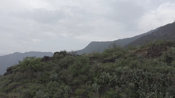The green mountains of Rijal Almaa in the Asir region, daytime aerial shot.