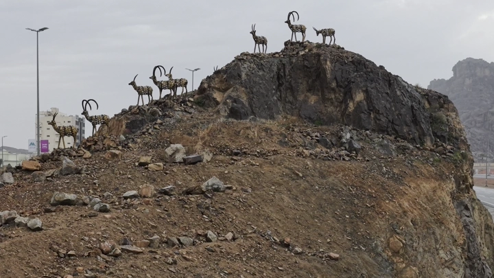 تماثيل ماعز على تل صخري في حائل، لقطة جوية