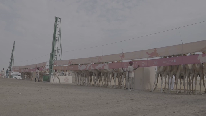 سباق جمال في الصحراء، لقطة واسعة.