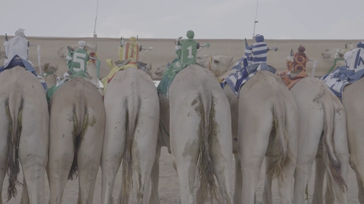 سباق جمال في الصحراء، لقطة من الخلف.