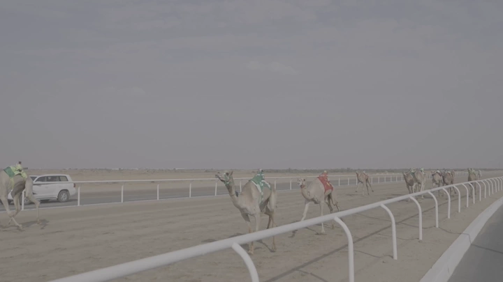 سباق جمال في مضمار صحراوي، لقطة من زاوية منخفضة.