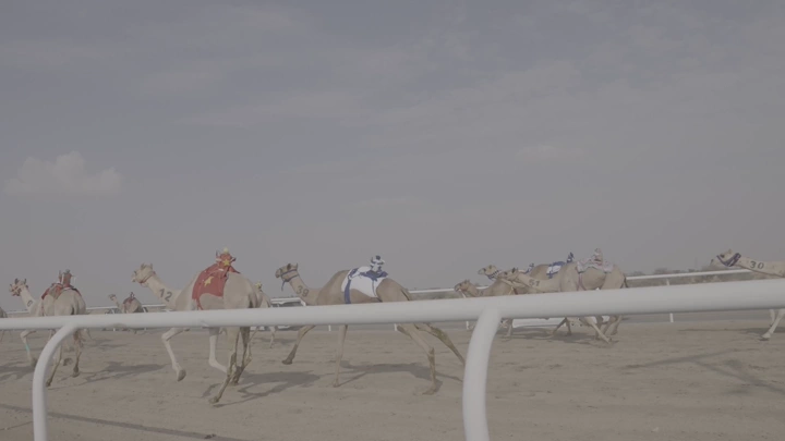 سباق جمال في الصحراء نهارًا، لقطة جانبية.