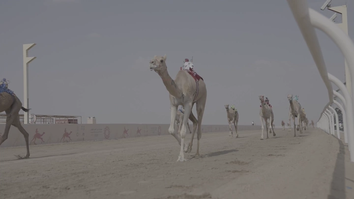 سباق جمال في مضمار صحراوي، لقطة من زاوية منخفضة.