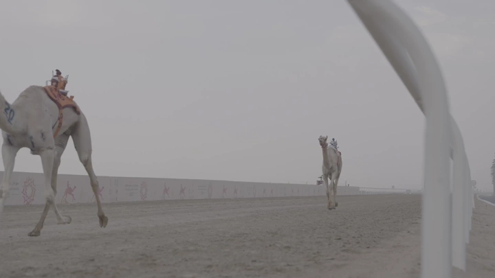 سباق جمال في مضمار صحراوي، لقطة جانبية.