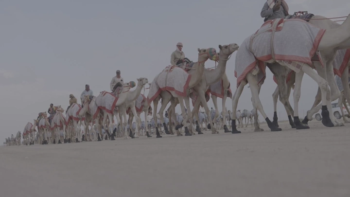 سباق جمال في الصحراء، لقطة من مستوى الأرض.
