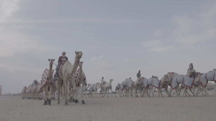 سباق جمال في الصحراء تحت سماء غائمة، لقطة واسعة.
