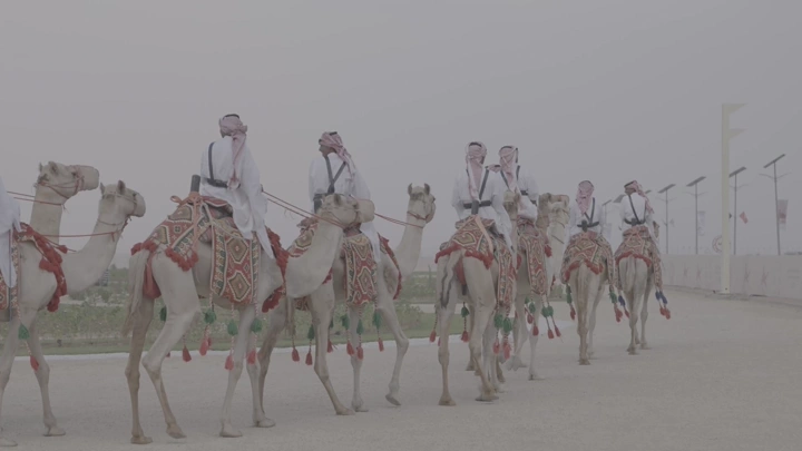 مجموعة من الجمال مع فرسان في موكب، لقطة خارجية  نهارية .