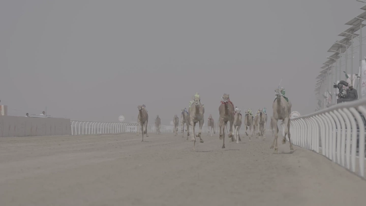 سباق جمال في مضمار صحراوي، لقطة أمامية.