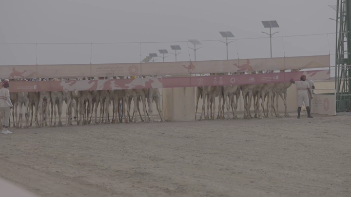 سباق جمال في الصحراء، لقطة أرضية.