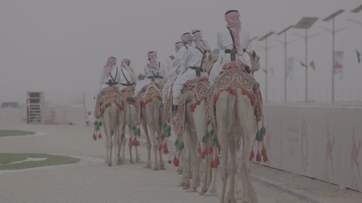 مجموعة من الجمال مع فرسان في الصحراء، لقطة من الخلف.