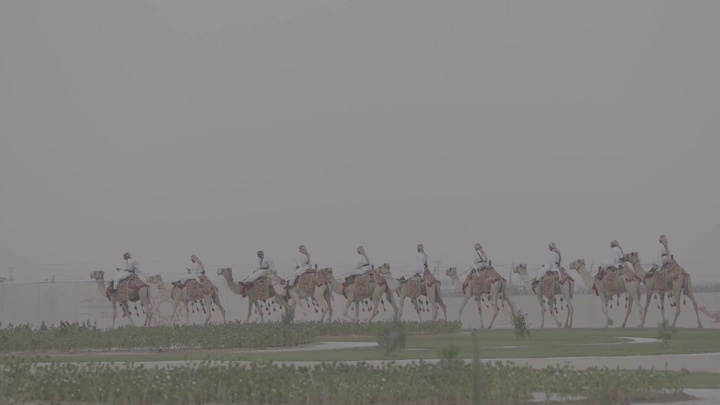 مجموعة من الجمال تسير في صف في الصحراء، لقطة بعيدة.