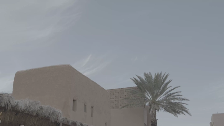 مبنى تقليدي ونخلة في العلا، لقطة نهارية.