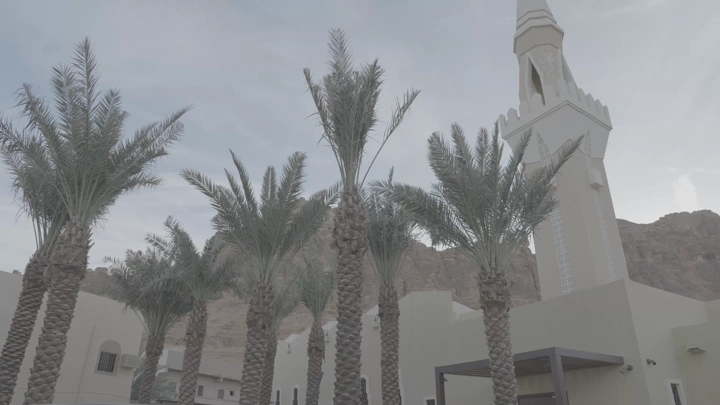 مسجد محاط بأشجار النخيل في العلا، لقطة نهارية.