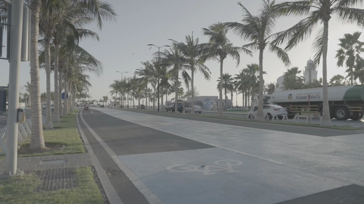 شارع محاط بأشجار النخيل في جدة، لقطة نهارية.