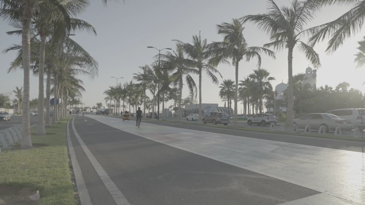 شارع مع أشجار النخيل في جدة، لقطة نهارية.