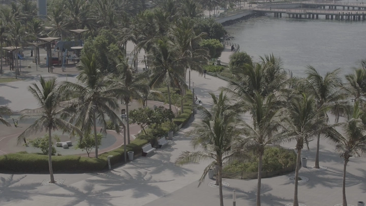 واجهة بحرية في جدة مع أشجار النخيل، تصوير درون.