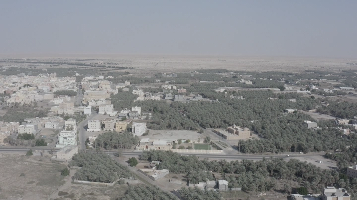 نخيل في الأحساء، لقطة جوية نهارية.