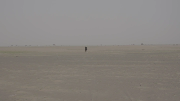 فارس على حصان في صحراء شاسعة، لقطة بعيدة.