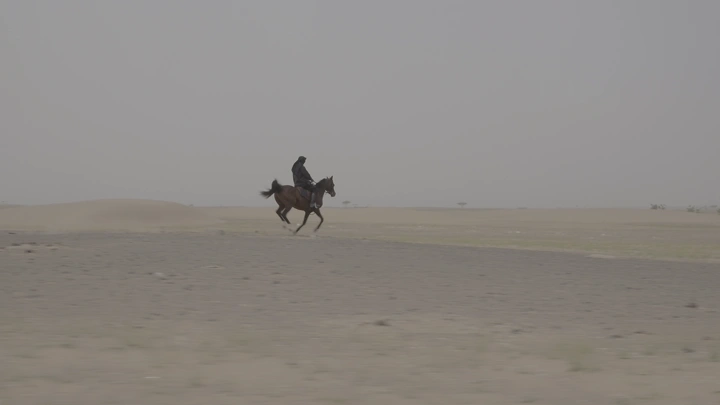 فارس يركب حصانًا في الصحراء، لقطة جانبية.
