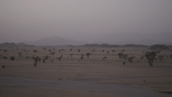 صحراء شاسعة في براري الغربية عند الغروب، لقطة بعيدة.