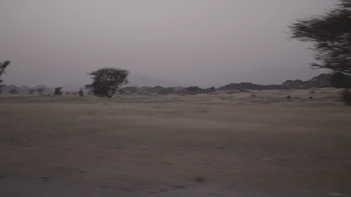 Desert with scattered trees in Western wilderness, panoramic shot.