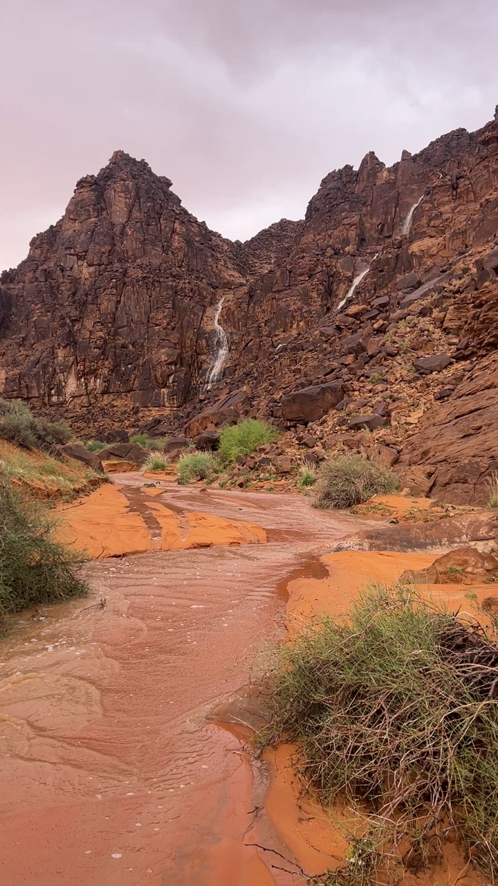 سيل في وادي صخري مع جبال في الخلفية، لقطة طبيعية.