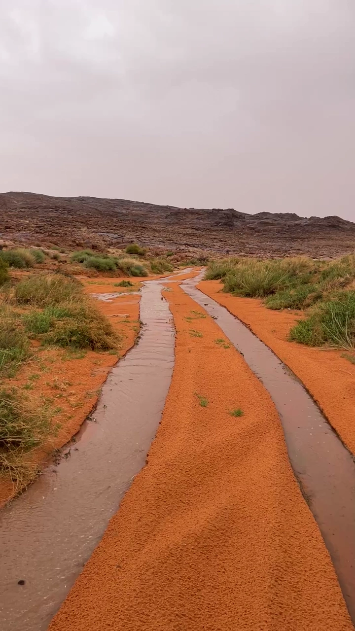 سيل مياه على طريق رملي في النفود، لقطة نهارية.