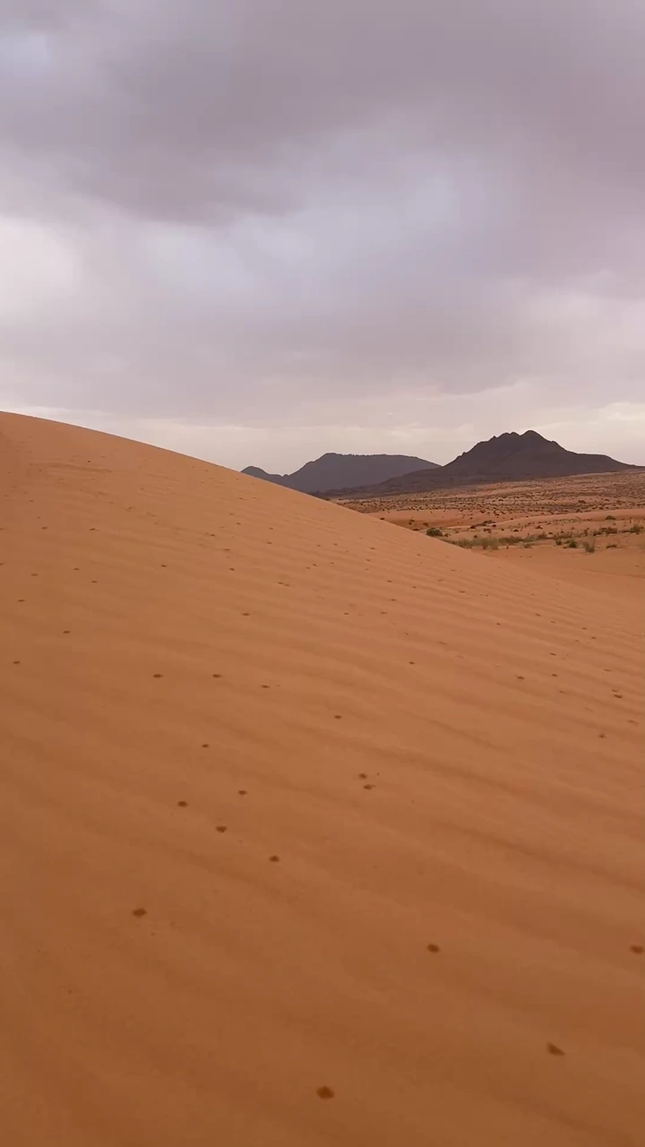 بداية نزول المطر على الكثبان الرملية في النفود، منظر طبيعي.