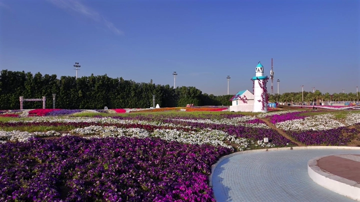 A colorful flower garden at the Flowers and Gardens Festival in Yanbu Industrial City, aerial shot.